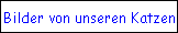 Bilder von unseren Katzen