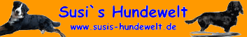 www.susis-hundewelt.de