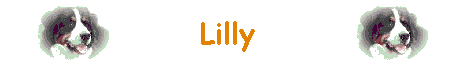 www.liebeliesel.de/lilly