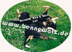 www.bennewatz.de