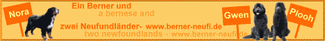www.berner-neufi.de